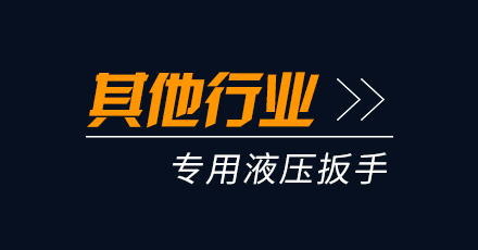其他行业专用液压扳手